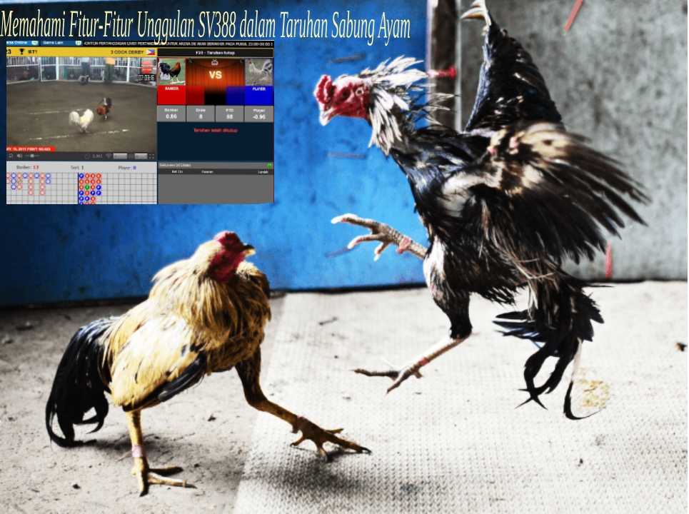 Memahami Fitur-Fitur Unggulan SV388 dalam Taruhan Sabung Ayam